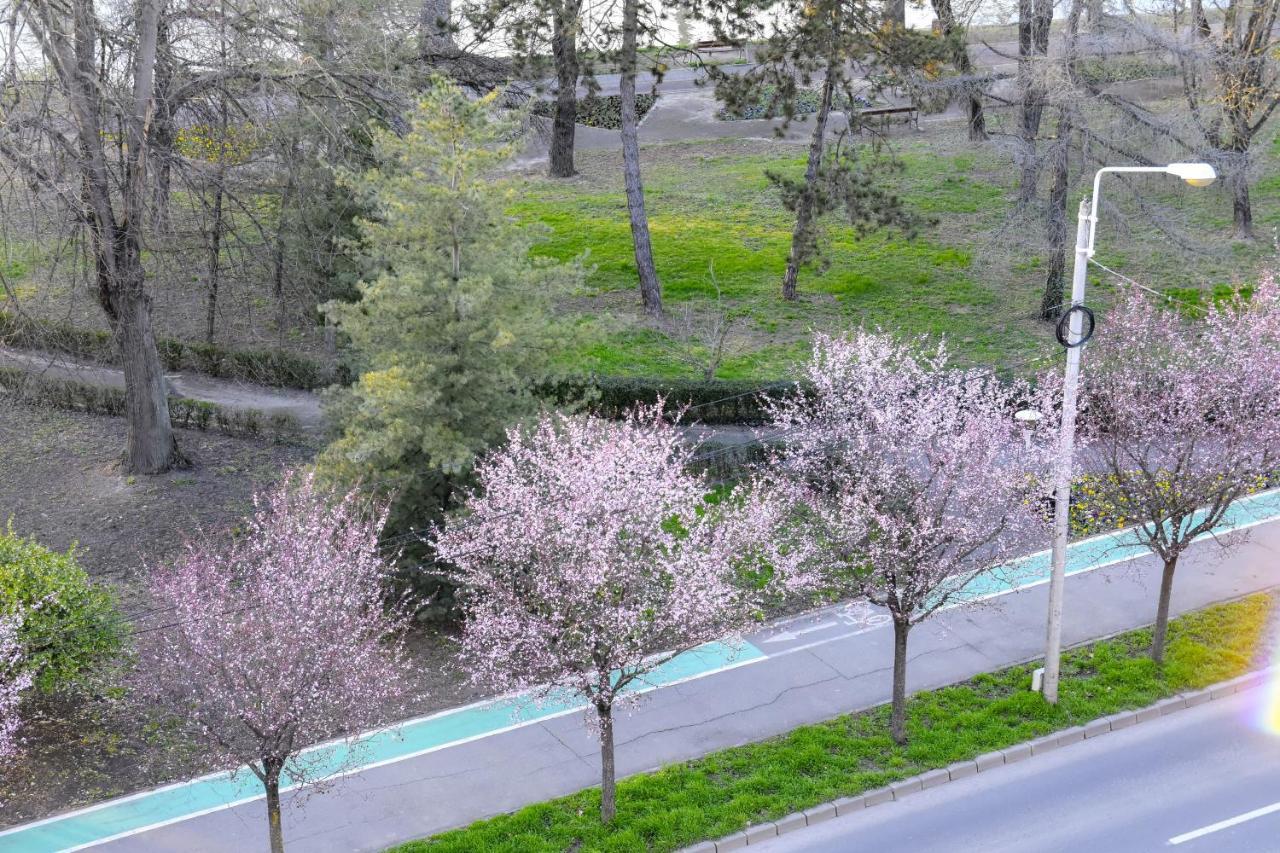 Riverside 1 Timisoara Luaran gambar